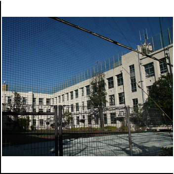 文京区立元町小学校 essay bibliophobia