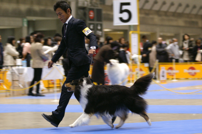 FCI東京インター_f0126965_751491.jpg