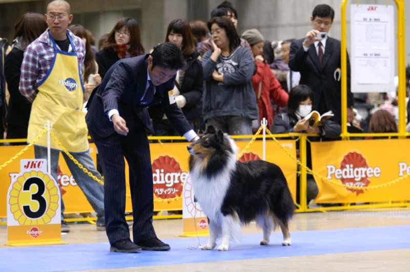 FCI東京インター_f0126965_752574.jpg