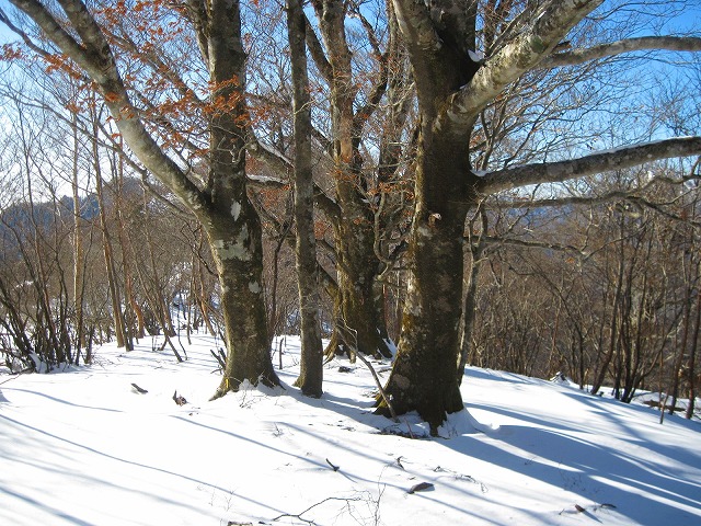 c0219866_1912176.jpg