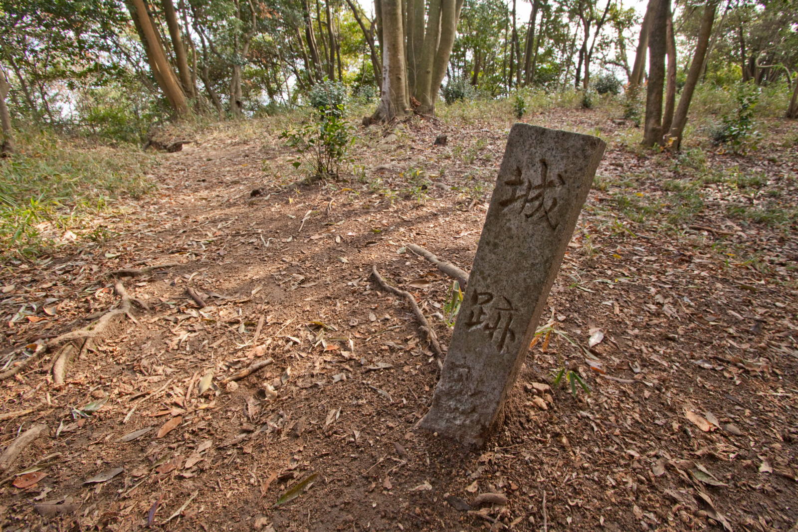 e0015567_13414145.jpg