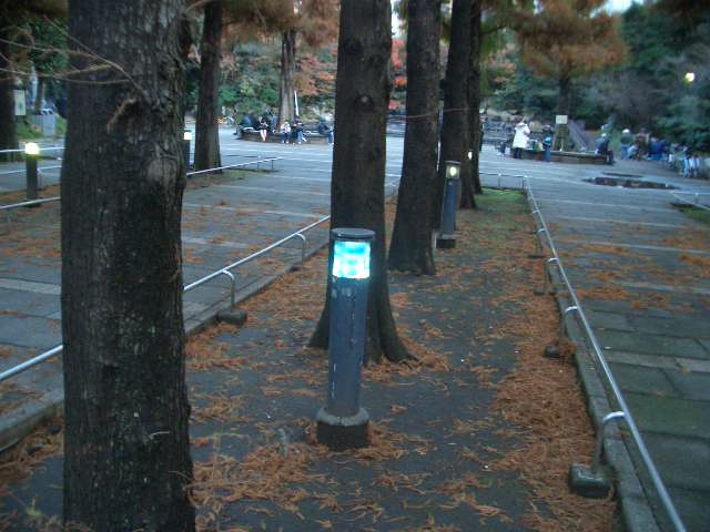 第11回越年越冬活動にご参加ください!_f0021370_20202579.jpg