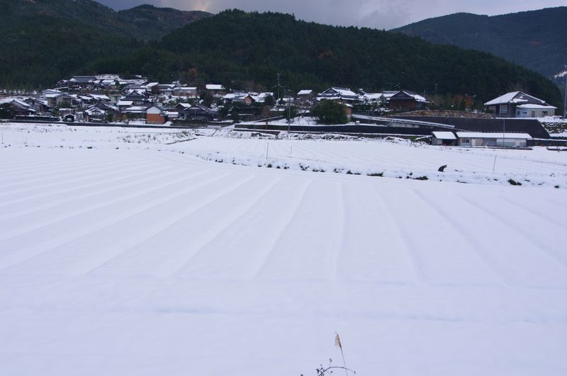 e0152576_2212724.jpg