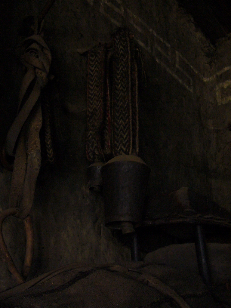 e0024081_8394727.jpg
