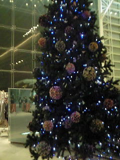 b0125384_21332217.jpg