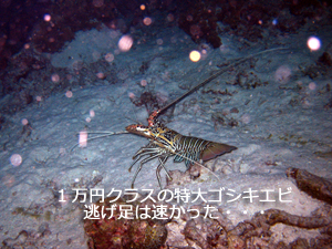 クルーズ最高☆_f0144385_23524784.jpg