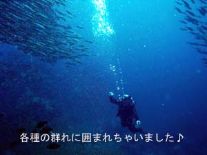 クルーズ最高☆_f0144385_2353243.jpg
