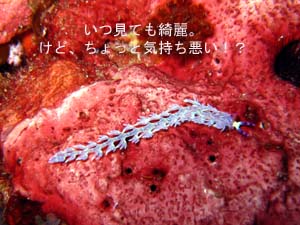 クルーズ最高☆_f0144385_23553534.jpg
