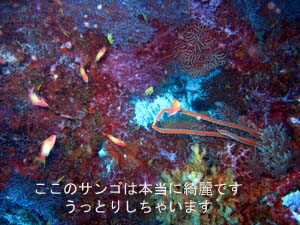 クルーズ最高☆_f0144385_23563758.jpg