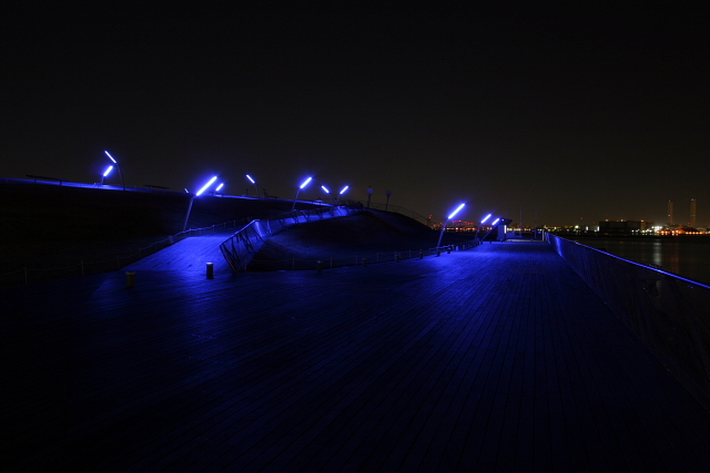 横浜夜景_c0147587_23574374.jpg