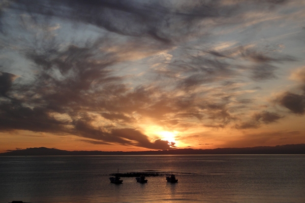 f0068687_012580.jpg