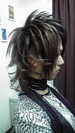 スジ盛りヘアーの次は Nolas Nablog スジ盛りヘアーの次は Nolas Nablog