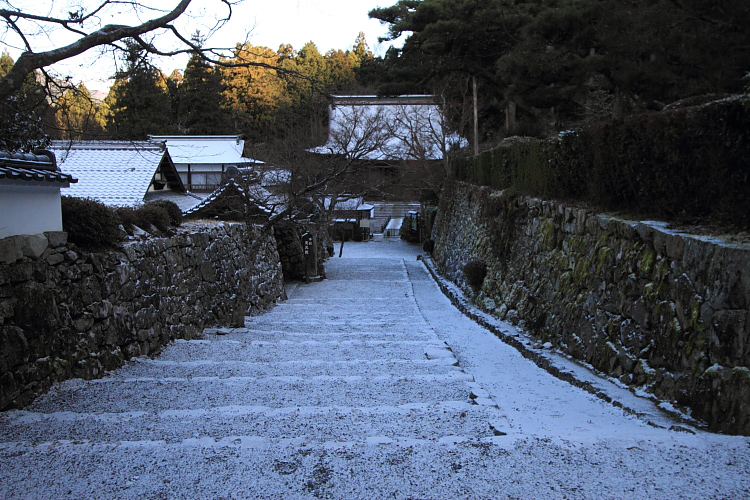 宝泉院_e0051888_1221223.jpg