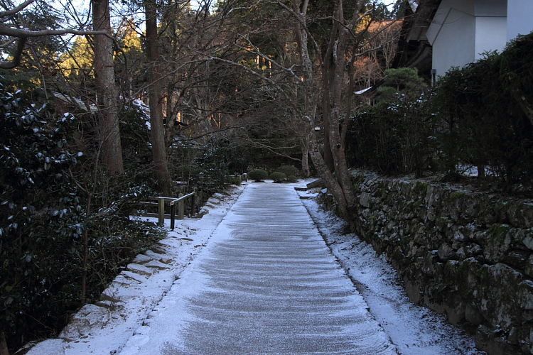 宝泉院_e0051888_1222848.jpg