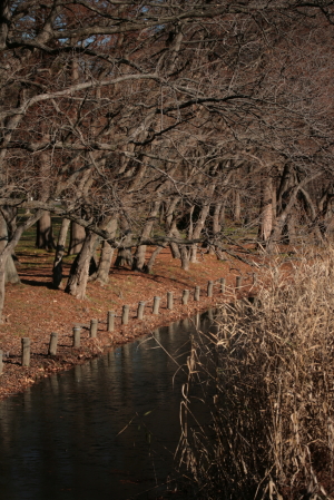 d0133693_9381289.jpg
