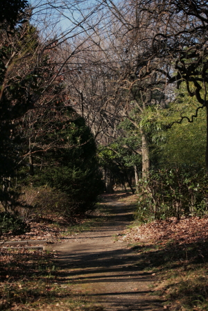 d0133693_9385582.jpg