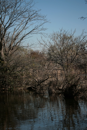 d0133693_9392834.jpg