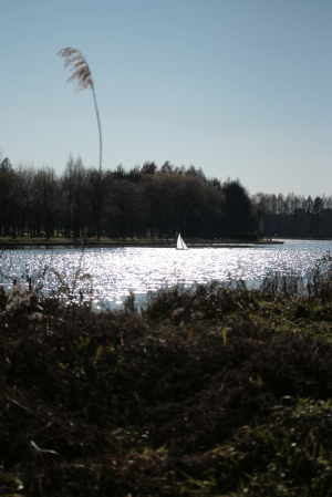 d0133693_9394389.jpg