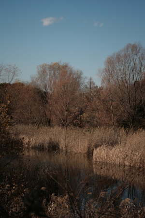d0133693_9395262.jpg