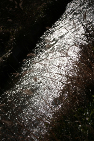 d0133693_939575.jpg