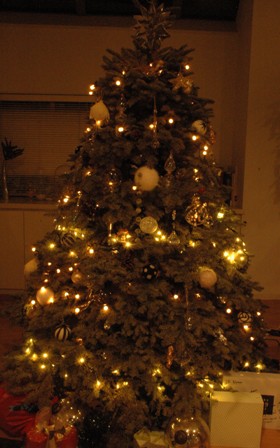 Merry Merry Chirstmas! _f0083294_22253135.jpg