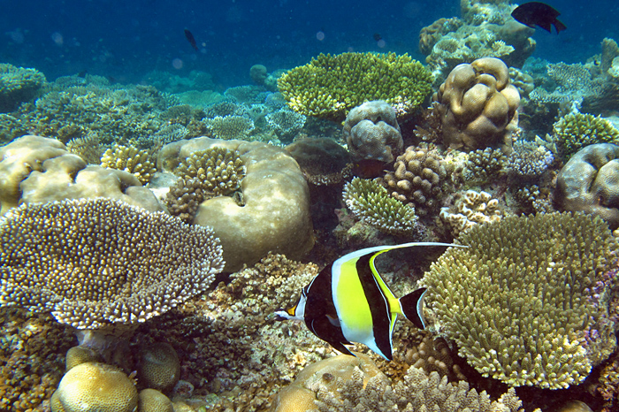 c0025895_23474946.jpg