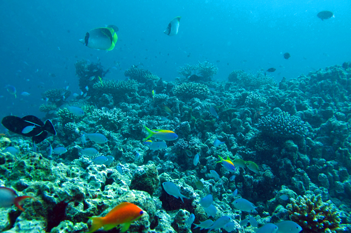c0025895_23481866.jpg