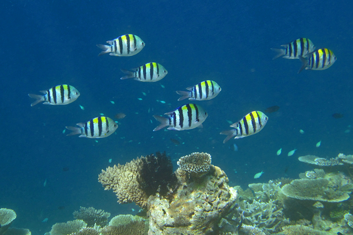 c0025895_23552529.jpg