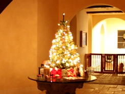 今年のクリスマスツリー_e0108198_10265319.jpg
