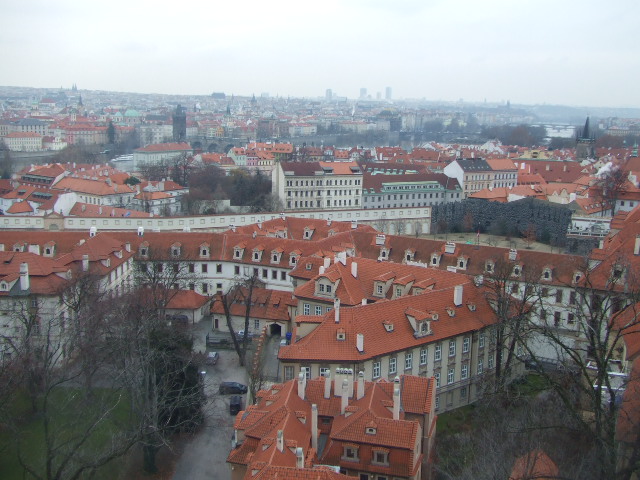 f0076001_22393871.jpg