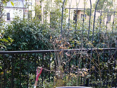 a0123003_16162218.jpg
