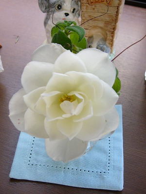 a0123003_1749183.jpg