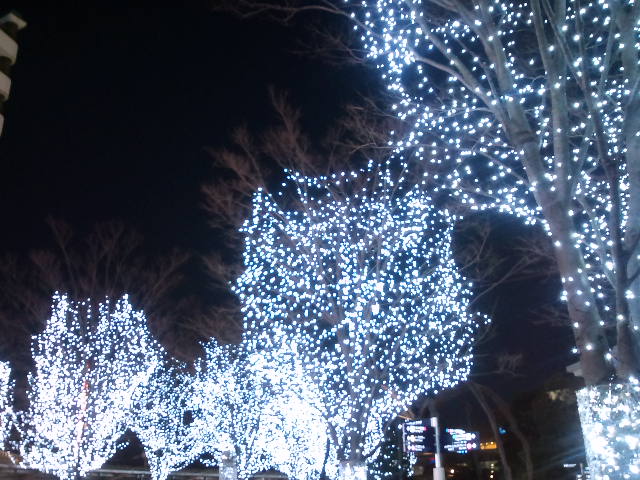b0147203_23542577.jpg