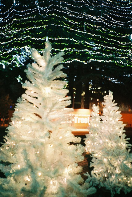 c0217406_2305113.jpg
