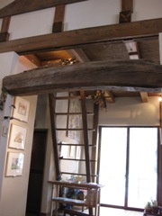 f0145916_21829.jpg
