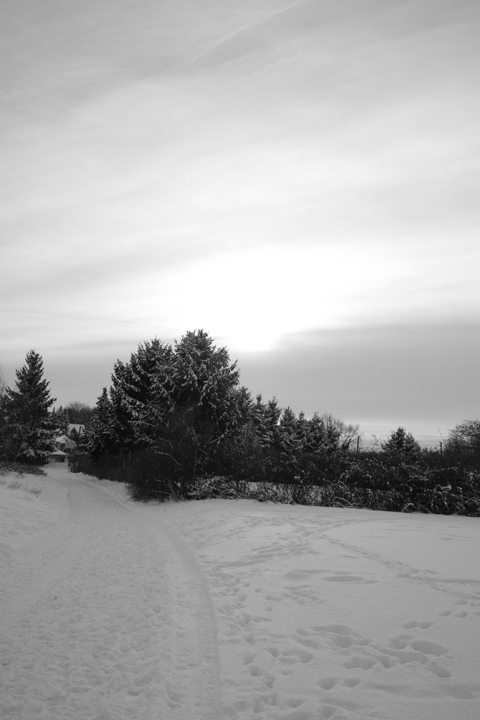 b0148617_5462372.jpg