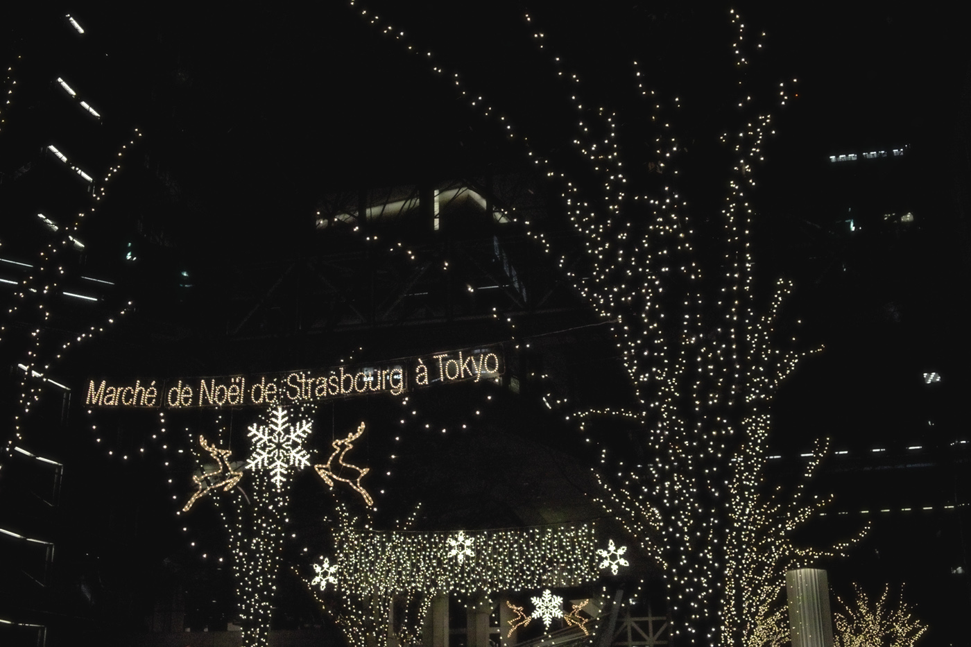 c0213117_1135179.jpg