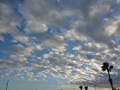a0118718_17414216.jpg