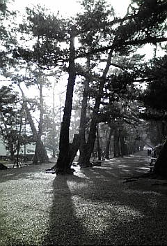 d0078532_018266.jpg