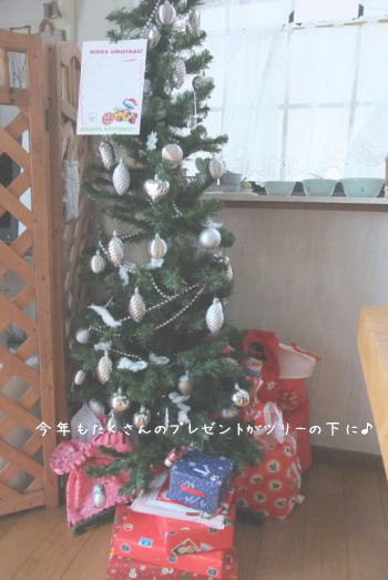 ホームパーティ　クリスマス会♪_f0023333_17244968.jpg