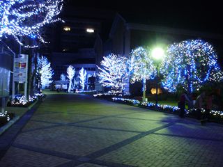 e0060041_847114.jpg