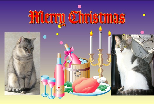 メリークリスマス(続きあり)_f0002743_0472051.jpg