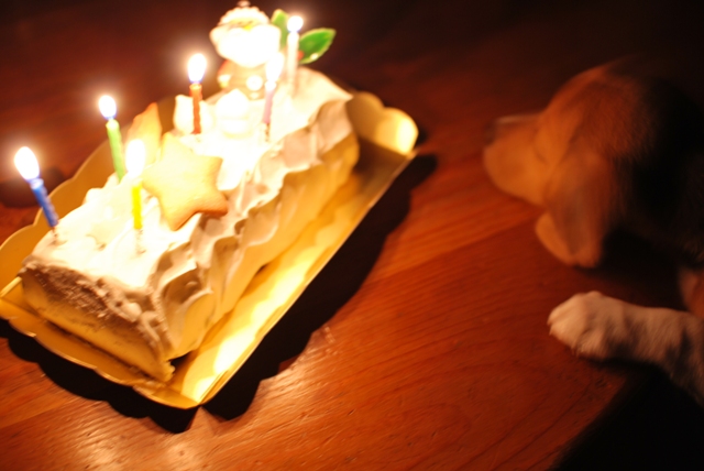 f0068145_2133729.jpg