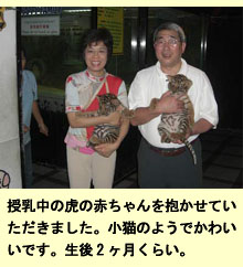 タイで不妊指導、ワニ・トラ園見学記_a0148348_4281723.jpg