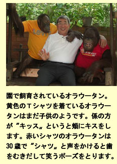 タイで不妊指導、ワニ・トラ園見学記_a0148348_429051.jpg