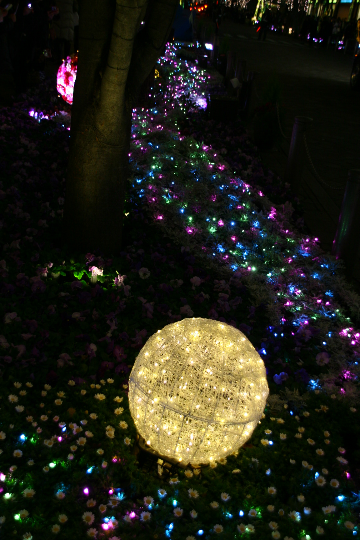 f0091448_22251496.jpg