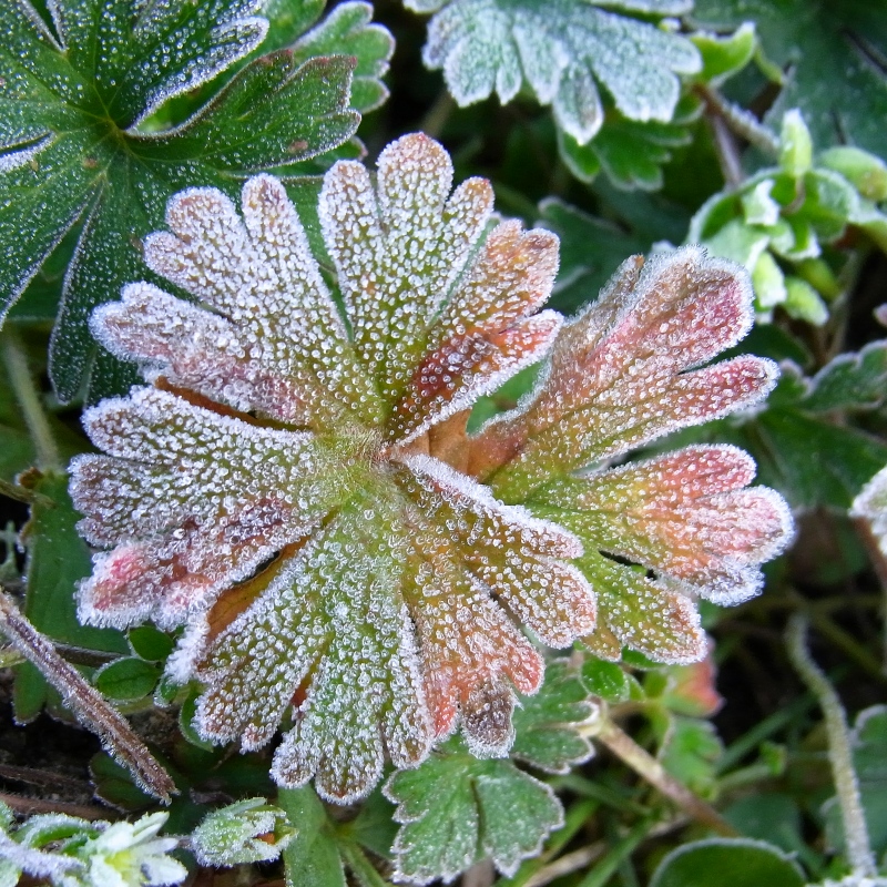 b0147449_18245029.jpg