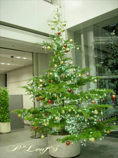 c0176651_23362724.gif