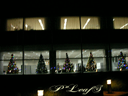 c0176651_23390100.gif