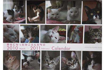 森ねこさんのポストカードと、子猫カレンダー発売！_d0084952_025732.jpg